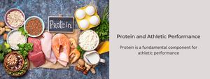 Protein and Athletic Performance: What Every Athlete Should Know
