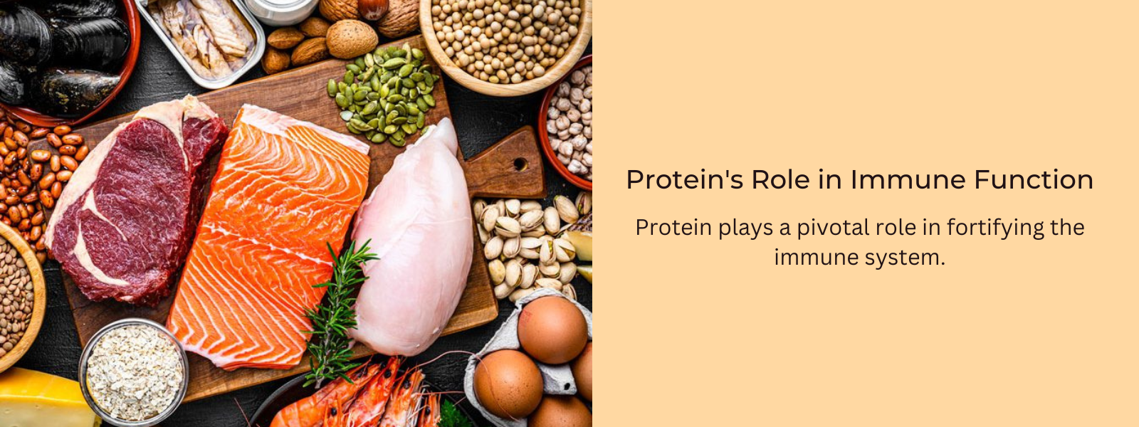 Protein's Role in Immune Function: Strengthening Your Defenses