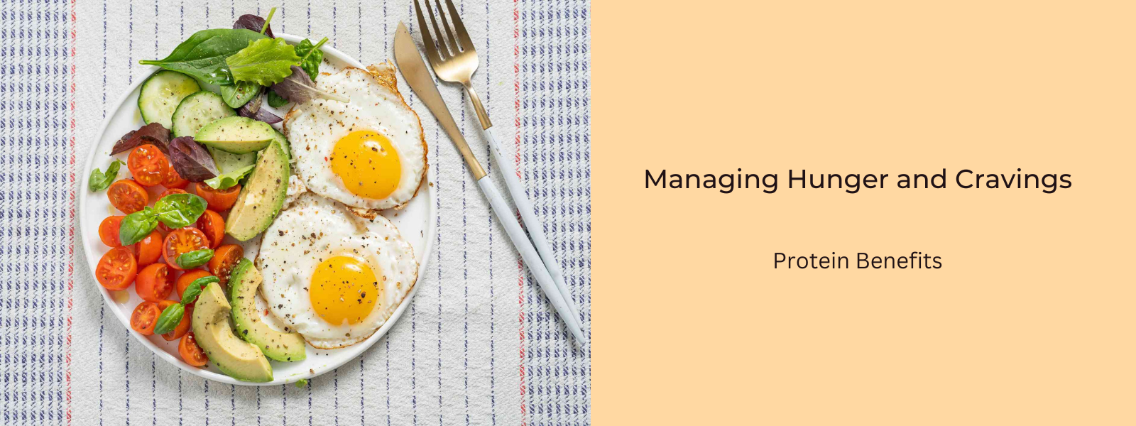 Protein's Role in Managing Hunger and Cravings