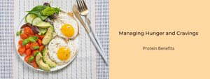 Protein's Role in Managing Hunger and Cravings
