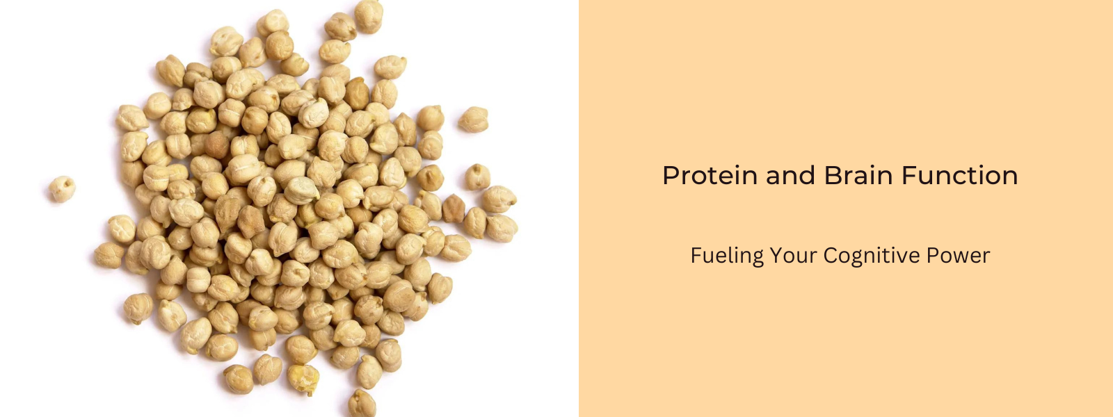 Protein and Brain Function: Fueling Your Cognitive Power