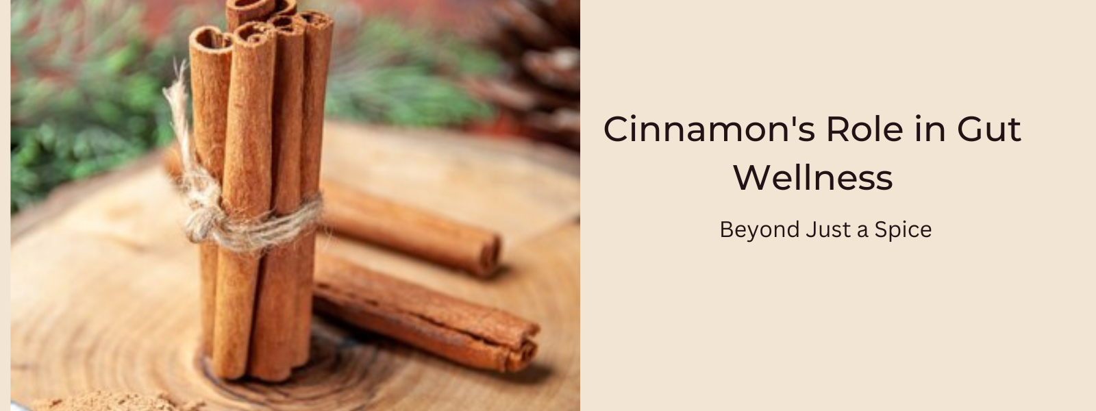 Cinnamon's Role in Gut Wellness: Beyond Just a Spice