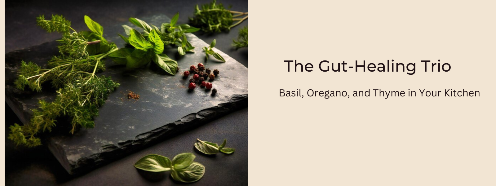 The Gut-Healing Trio: Basil, Oregano, and Thyme in Your Kitchen