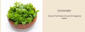 Coriander: A Spice that Packs a Punch for Digestive Health