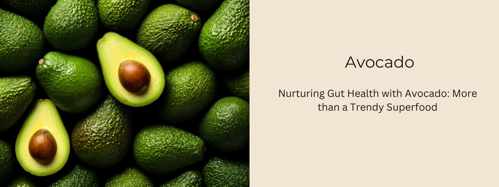 Nurturing Gut Health with Avocado: More than a Trendy Superfood