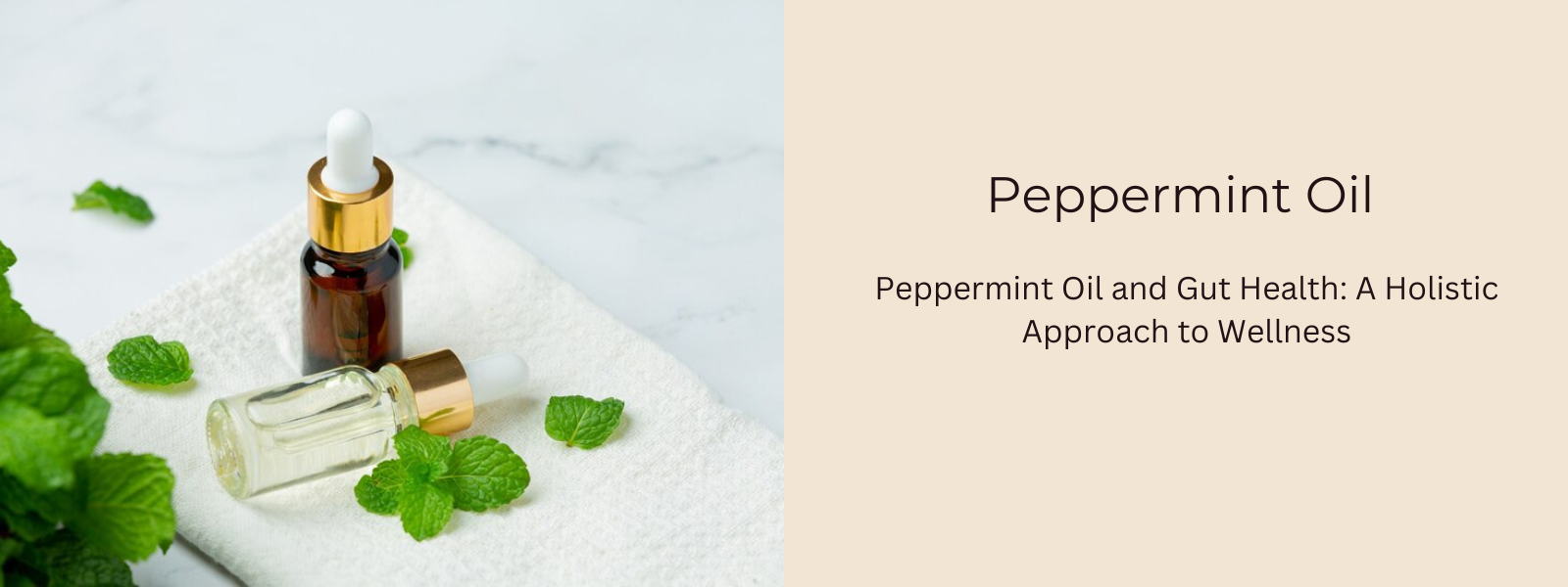 Peppermint Oil and Gut Health: A Holistic Approach to Wellness