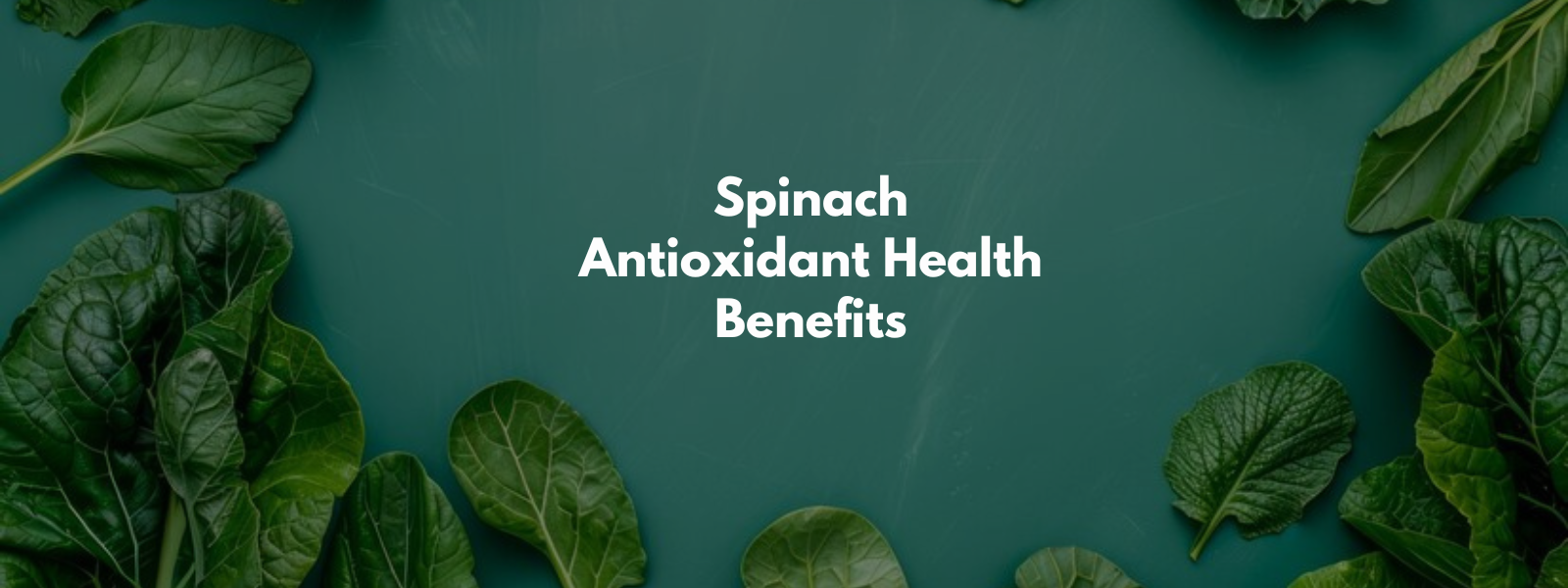 Spinach Antioxidant Health Benefits
