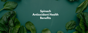 Spinach Antioxidant Health Benefits
