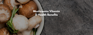 Mushrooms Vitamin D Health Benefits