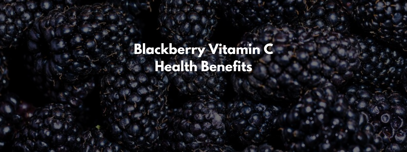 Blackberry Vitamin C Health Benefits