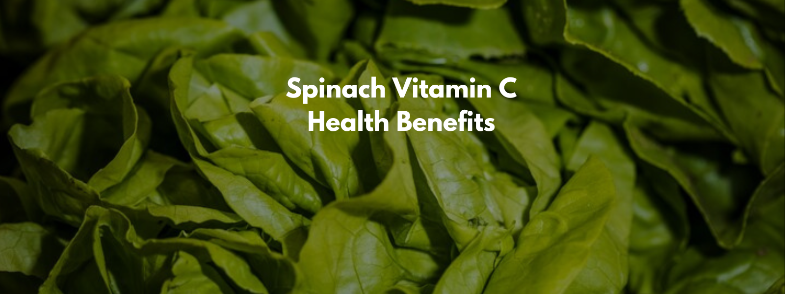 Spinach Vitamin C Health Benefits