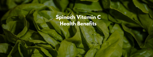 Spinach Vitamin C Health Benefits