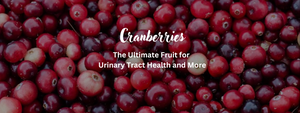 Cranberries: The Ultimate Fruit for Urinary Tract Health and More