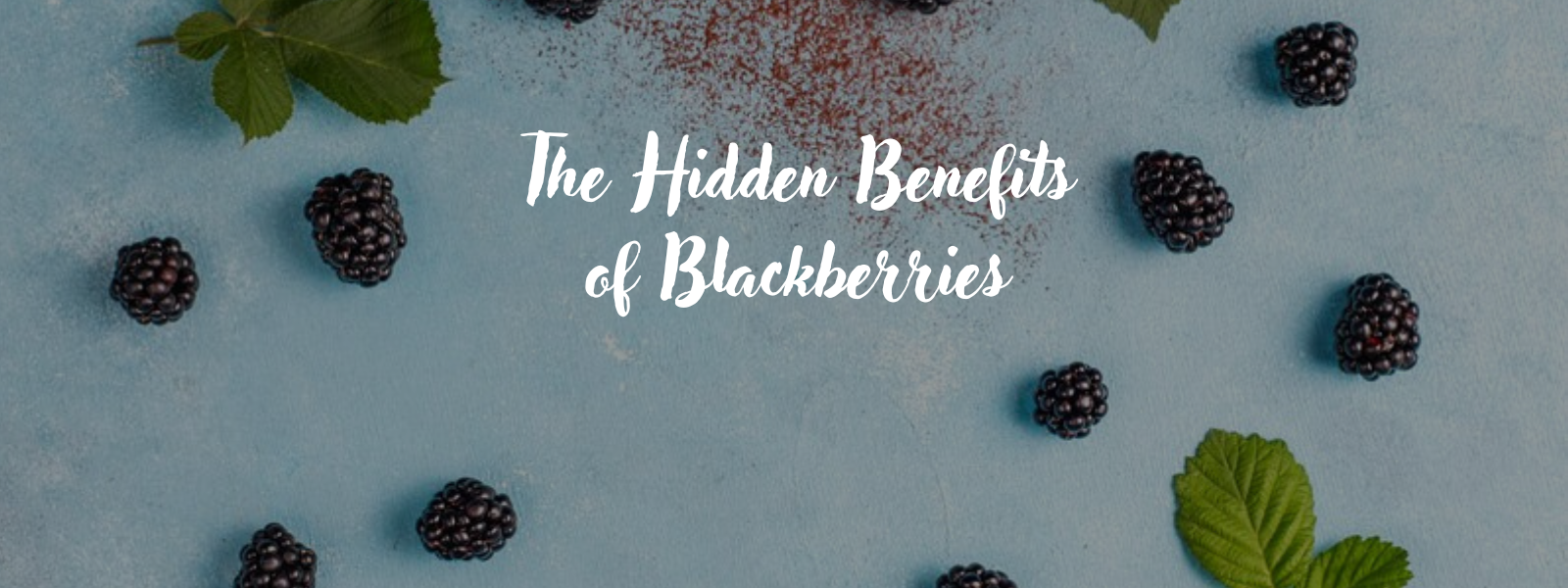 The Hidden Benefits of Blackberries: Rich in Antioxidants for Heart Health