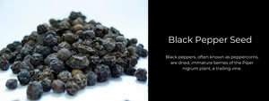 Black Pepper Seed - Health Benefits, Uses and Important Facts