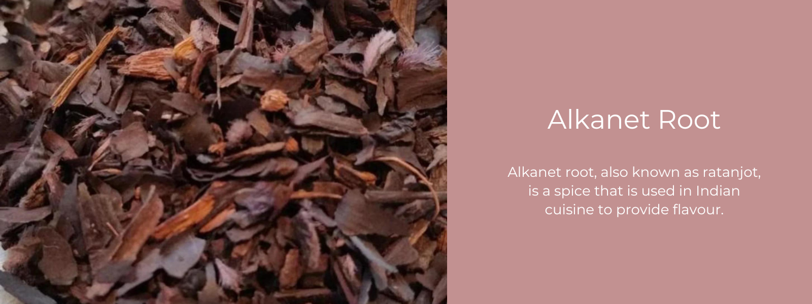 Alkanet Root - Health Benefits, Uses and Important Facts