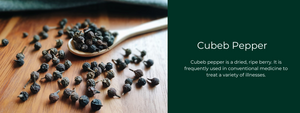 Cubeb Pepper - Health Benefits, Uses and Important Facts