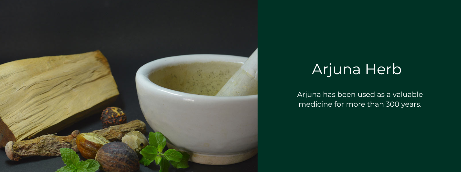 Arjuna Herb- Health Benefits, Uses and Important Facts