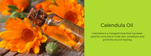 Calendula Oil - Health Benefits, Uses and Important Facts