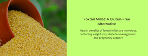 Foxtail Millet: A Gluten-Free Alternative