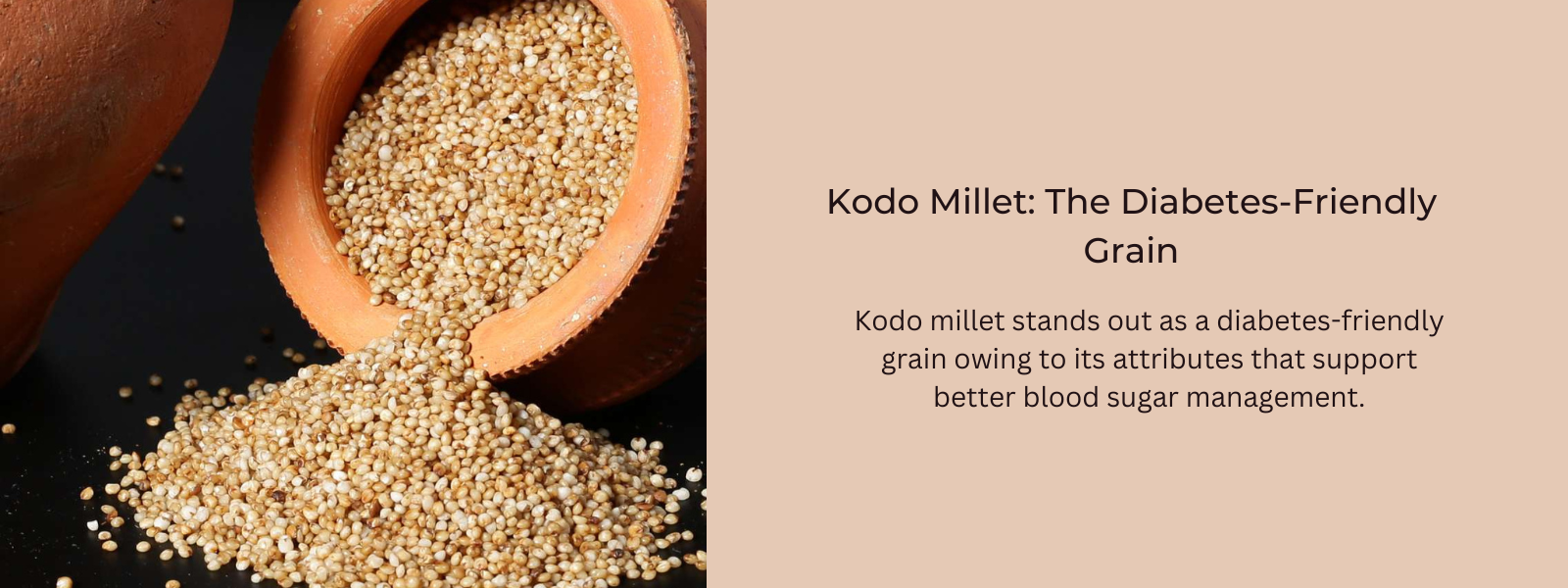 Kodo Millet The DiabetesFriendly Grain PotsandPans India