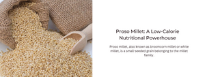 Proso Millet: A Low-Calorie Nutritional Powerhouse