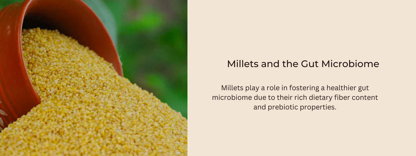 Millets and the Gut Microbiome: A Healthier Digestive System