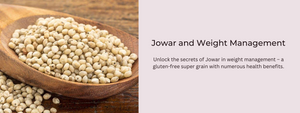 Jowar and Weight Management: How It Can Help You Shed Pounds