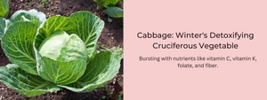 Cabbage: Winter's Detoxifying Cruciferous Vegetable