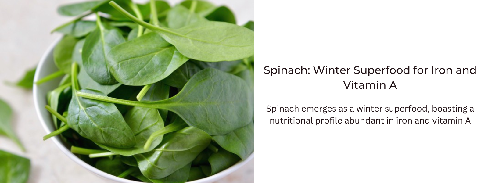 Spinach: Winter Superfood for Iron and Vitamin A