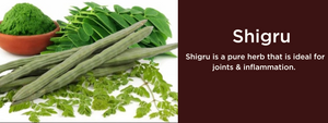 Shigru- Health Benefits, Uses and Important Facts