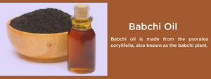 Babchi Oil - Health Benefits, Uses and Important Facts