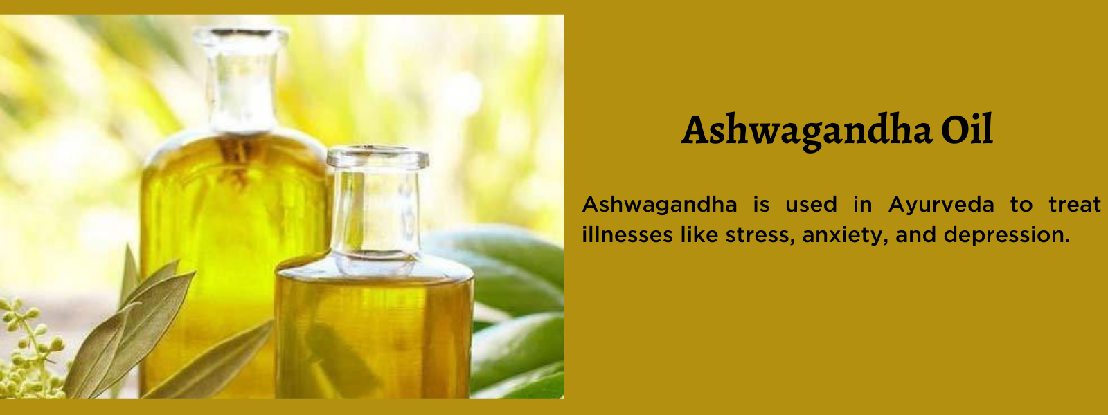 Ashwagandha Oil- Health Benefits, Uses and Important Facts