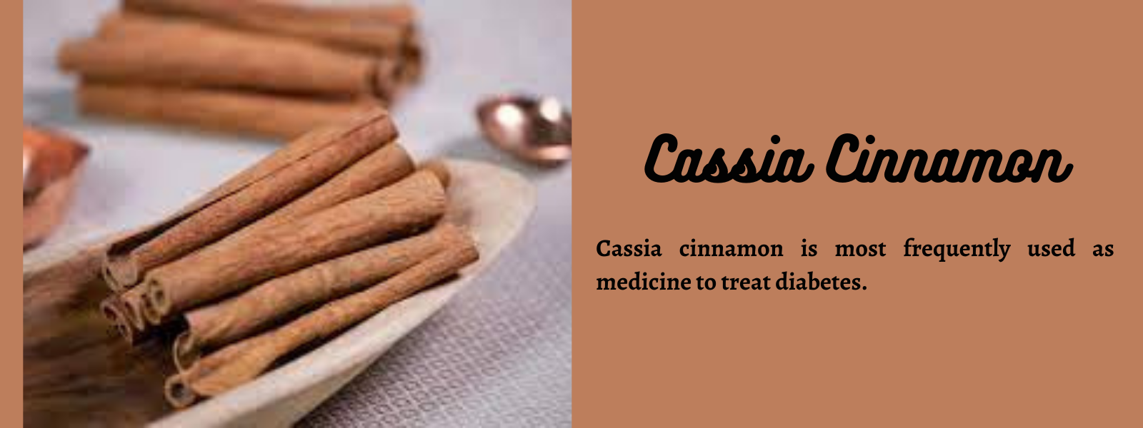 Cassia cinnamon - Health Benefits, Uses and Important Facts