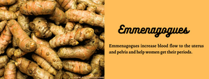 Emmenagogues - Health Benefits, Uses and Important Facts