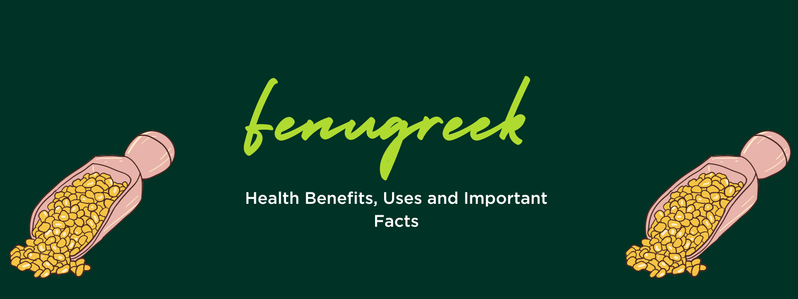 Fenugreek: Health Benefits, Uses and Important Facts