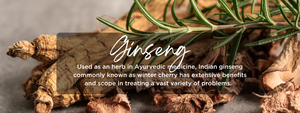 Ginseng- Health Benefits, Uses and Important Facts