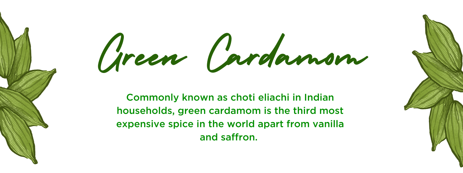 Green cardamom- Health Benefits, Uses and Important Facts