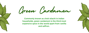 Green cardamom- Health Benefits, Uses and Important Facts