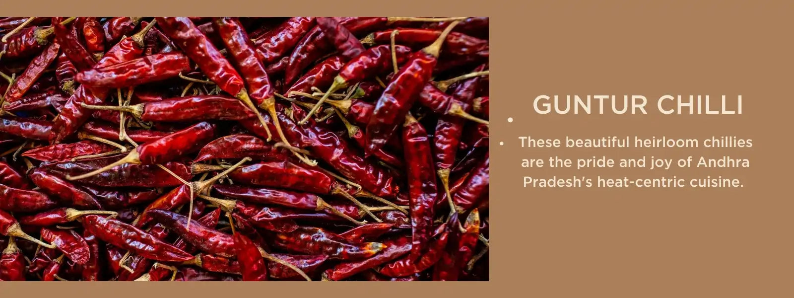 Guntur chilli - Health Benefits, Uses and Important Facts