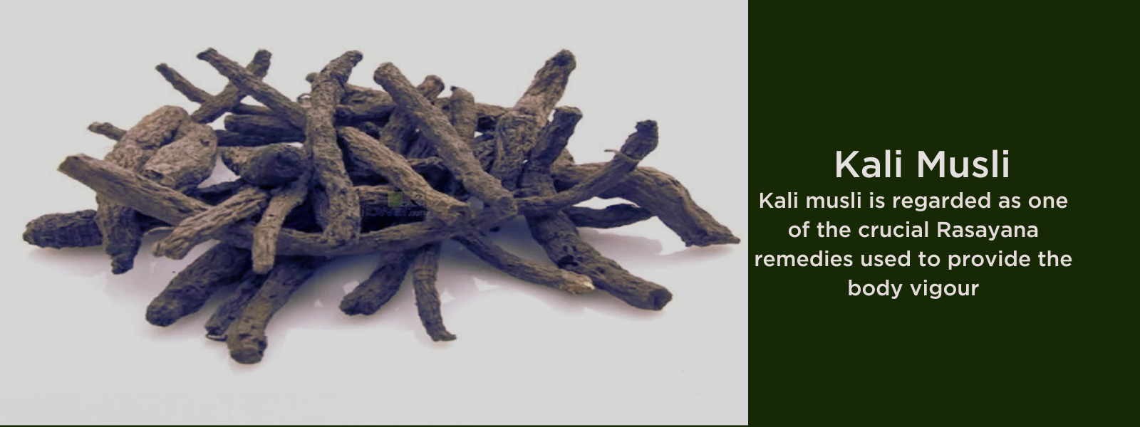 Kali musli - Health Benefits, Uses and Important Facts