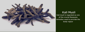 Kali musli - Health Benefits, Uses and Important Facts