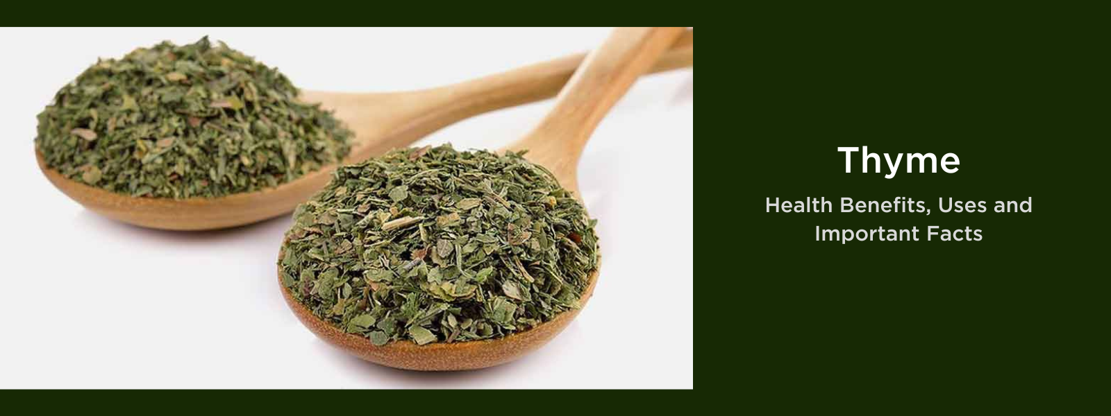 Kasuri Methi- Health Benefits, Uses and Important Facts