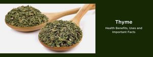 Kasuri Methi- Health Benefits, Uses and Important Facts