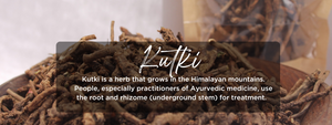 Kutki- Health Benefits, Uses and Important Facts