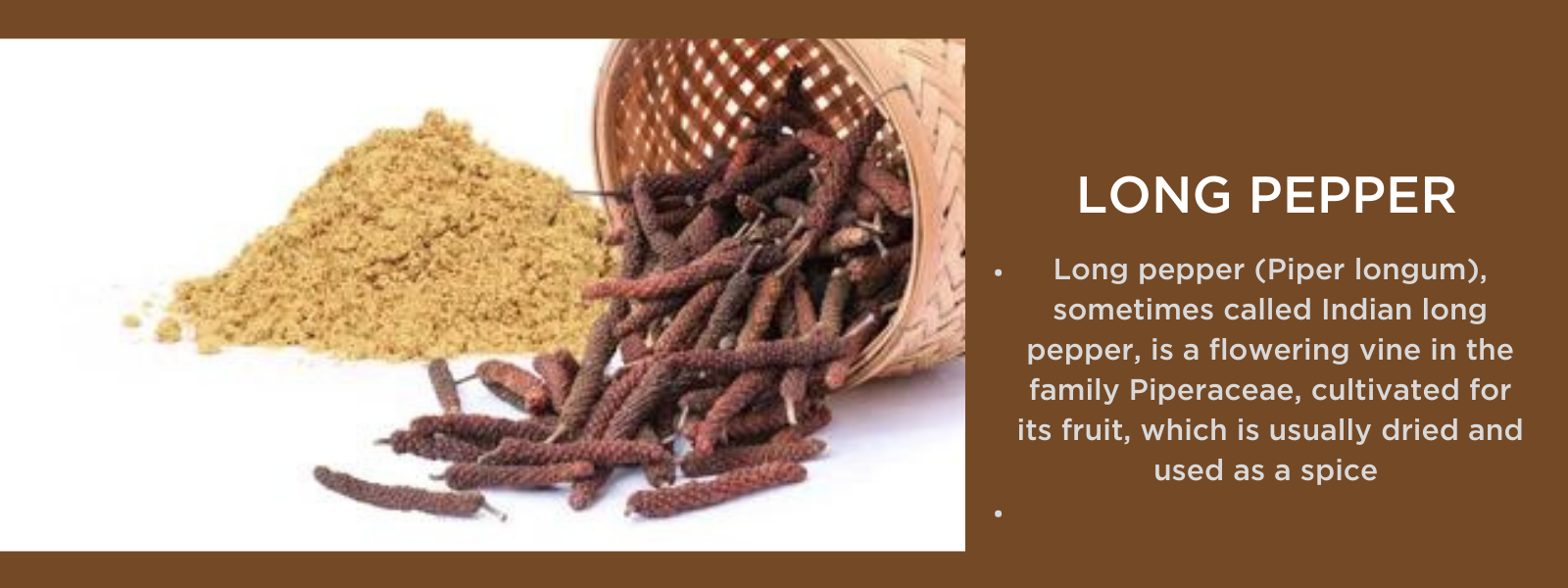 Long pepper - Health Benefits, Uses and Important Facts