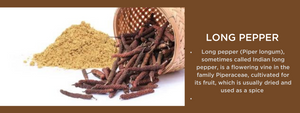 Long pepper - Health Benefits, Uses and Important Facts