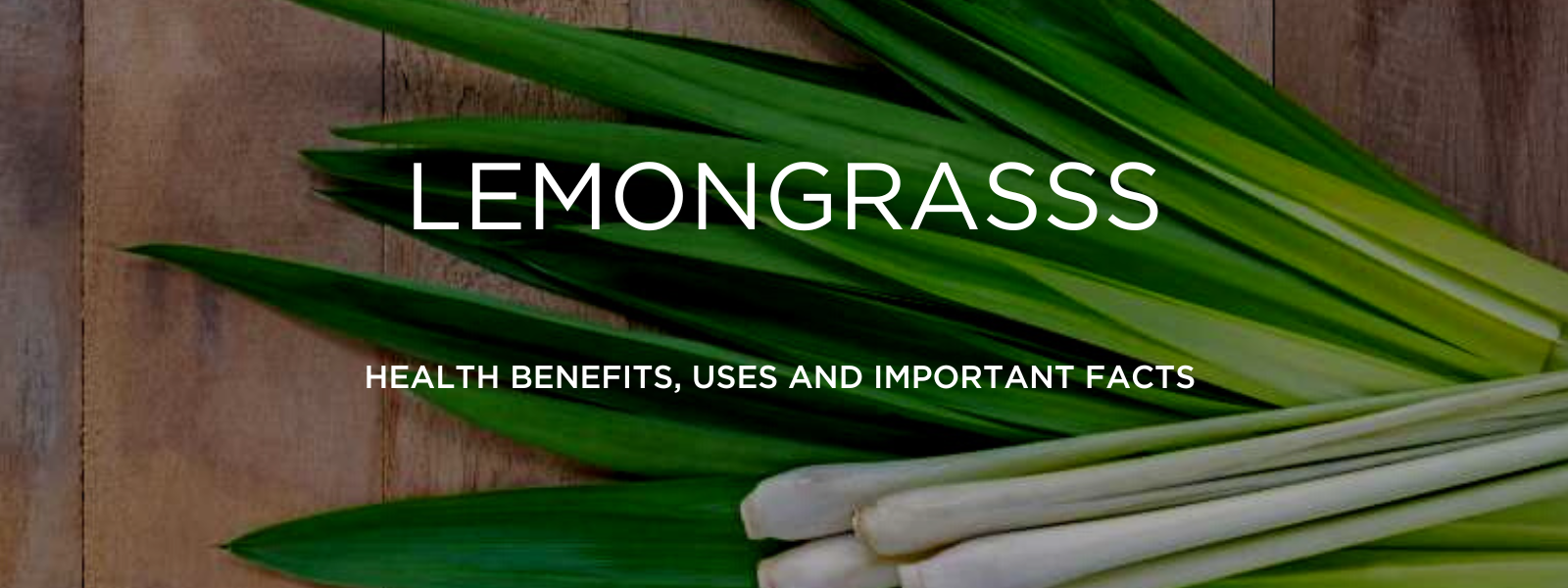 Lemongrass - Health Benefits, Uses and Important Facts