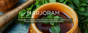 Marjoram - Health Benefits, Uses and Important Facts