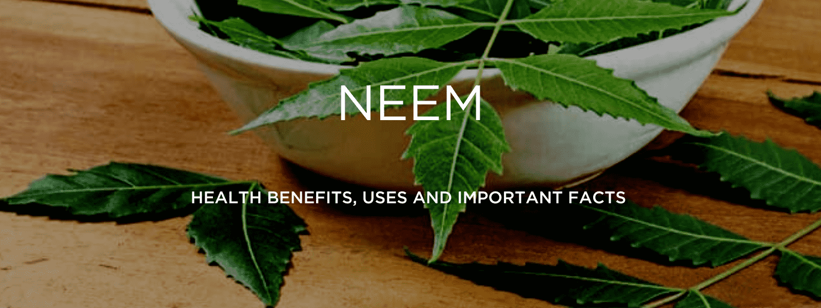 Neem - Health Benefits, Uses and Important Facts